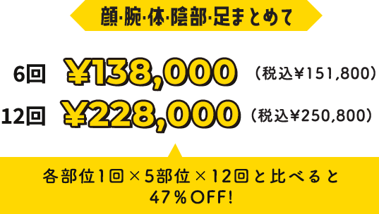 6回￥151,800円・12回￥250,800