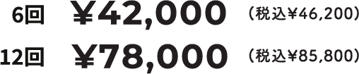 6回￥46,200円・12回85,800