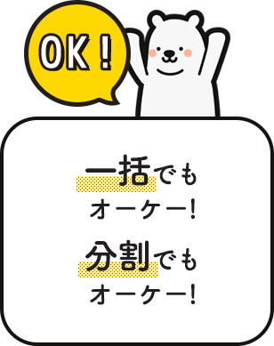 一括でもオーケー！分割でもオーケー！